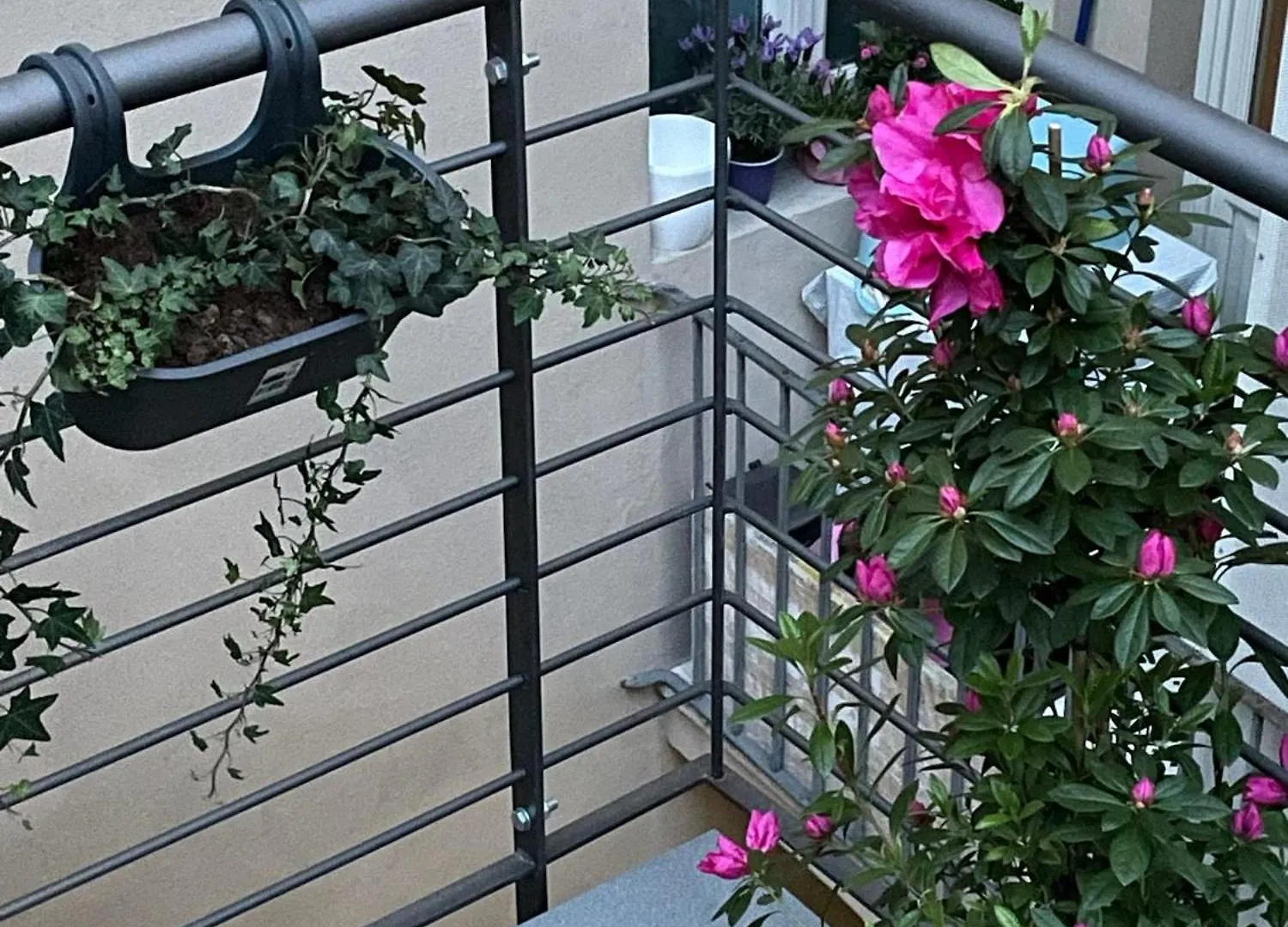Guest house Il Genio - Residenza D'Epoca Hotel Pisa Italy